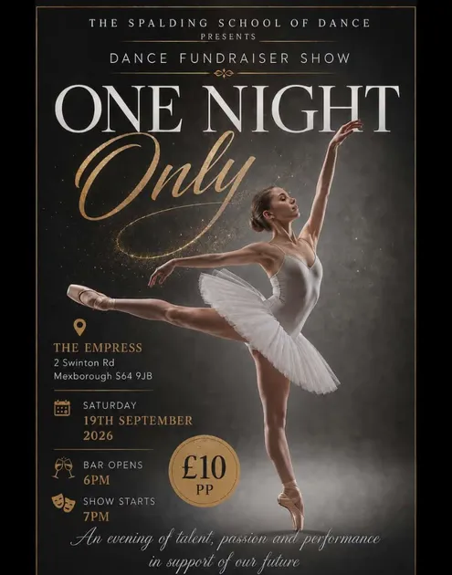 Dance Fundraiser Show: One Night Only
