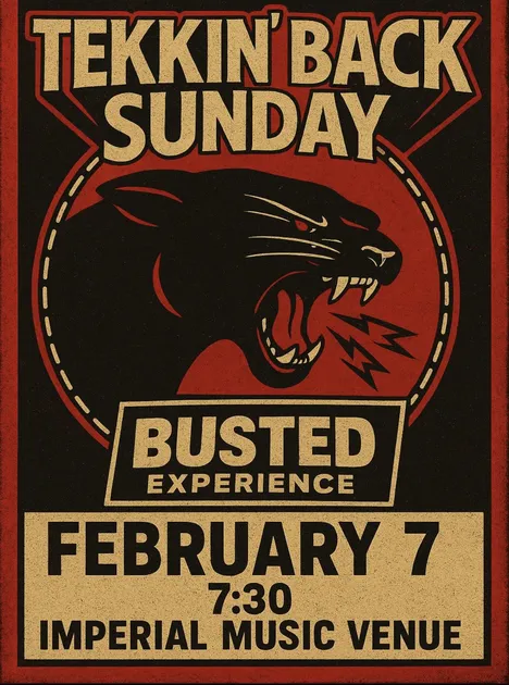 Tekkin' Back Sunday: Busted Experience