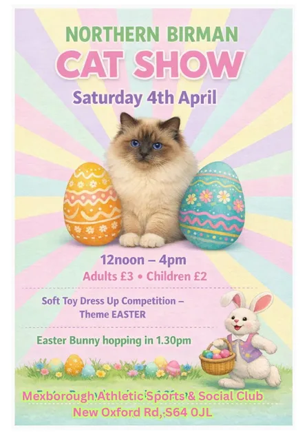 Northern Birman Cat Show